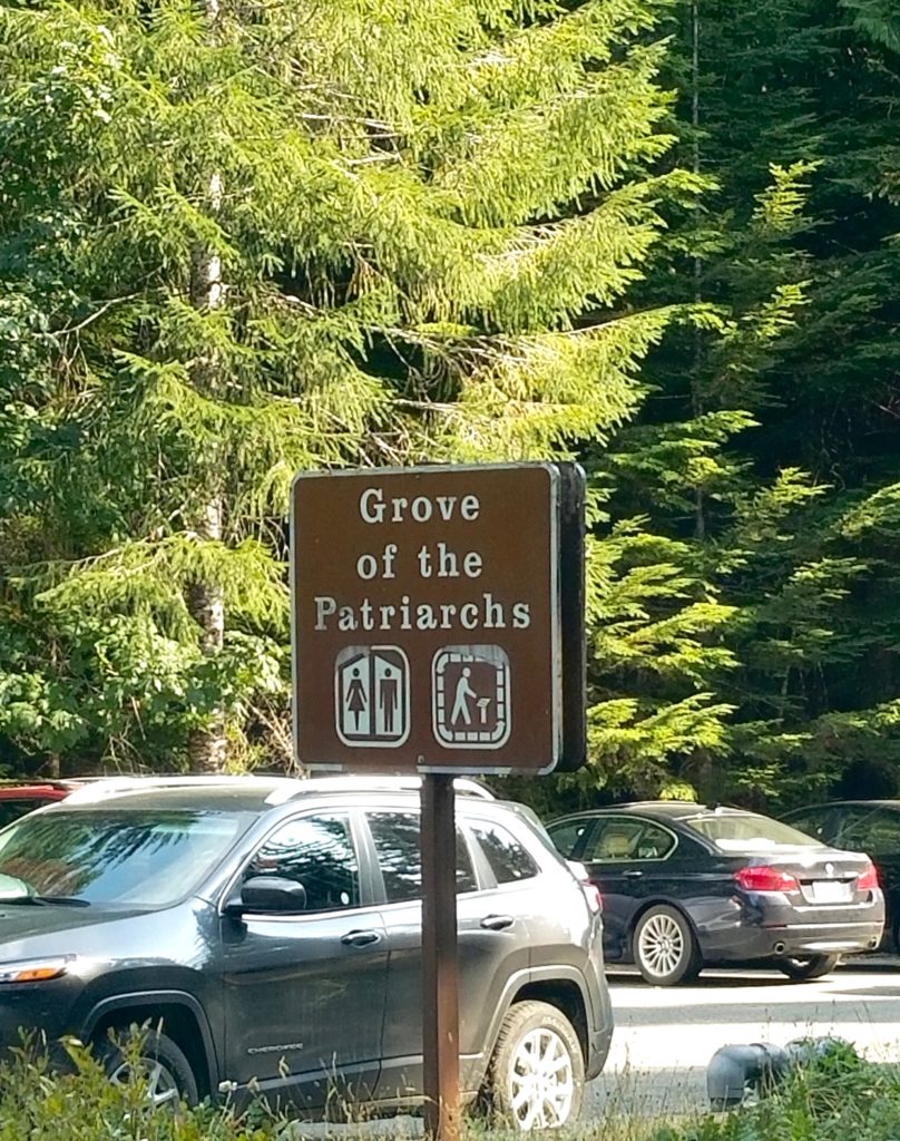 Grove-of-the-Patriarchs
