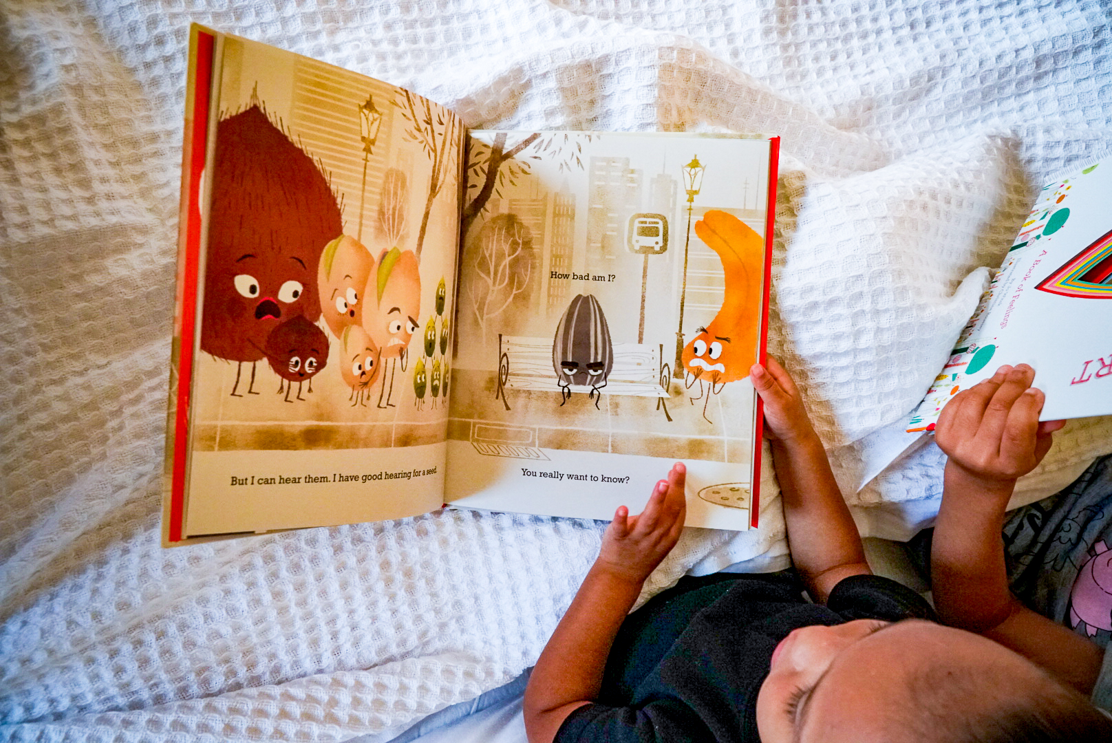 The Bad Seed Book